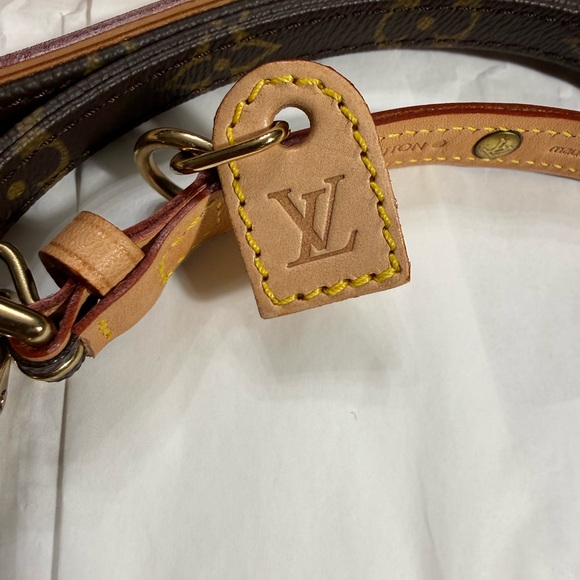 Louis Vuitton Baxter Collier Pm Dog or Cat Leash with box, Small - Medium - Picture 4 of 16